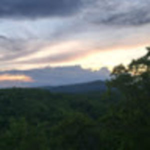 Meet your Posher, Izzy